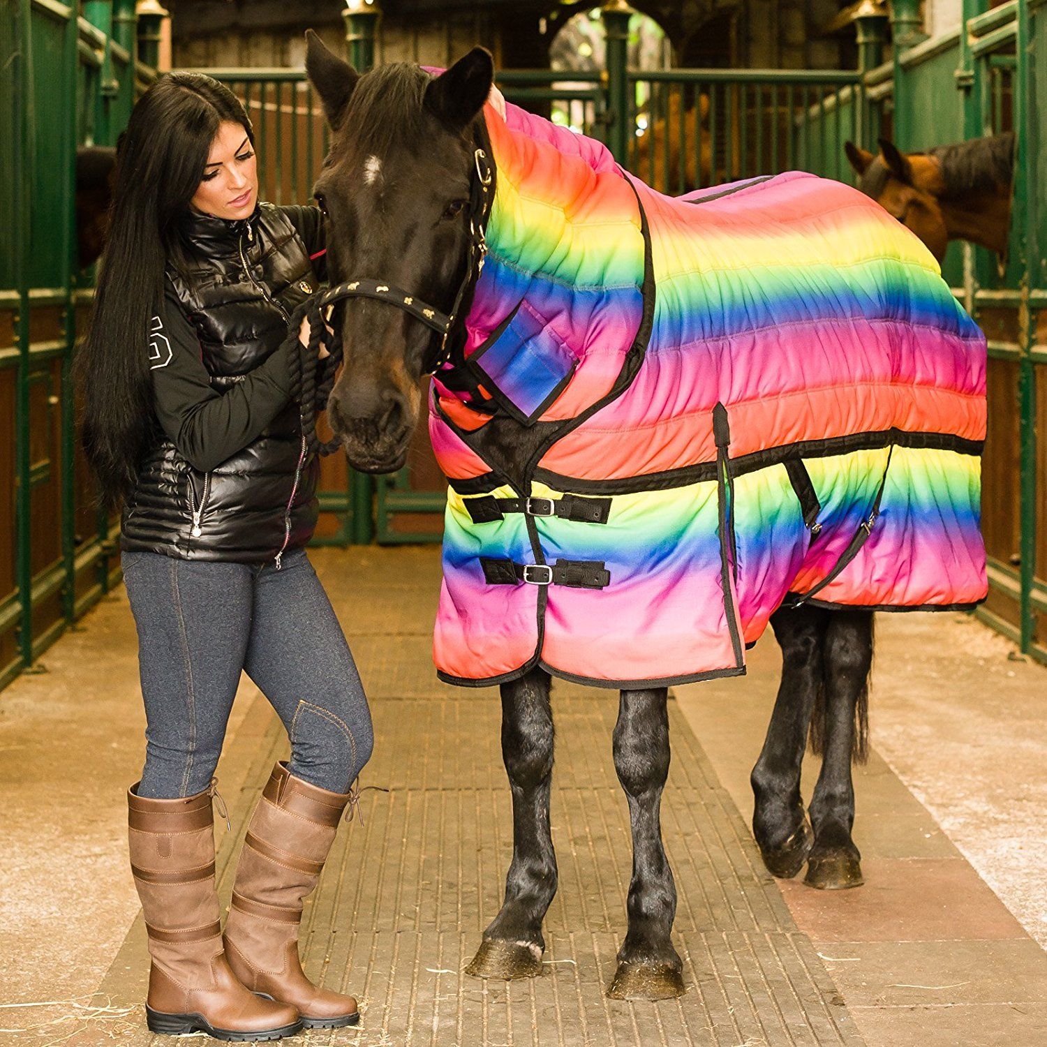 Rainbow Horse Rug
